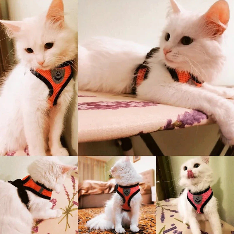 Guinzaglio per cani e gatti, regolabile, in rete di poliestere, traspirante, riflettente