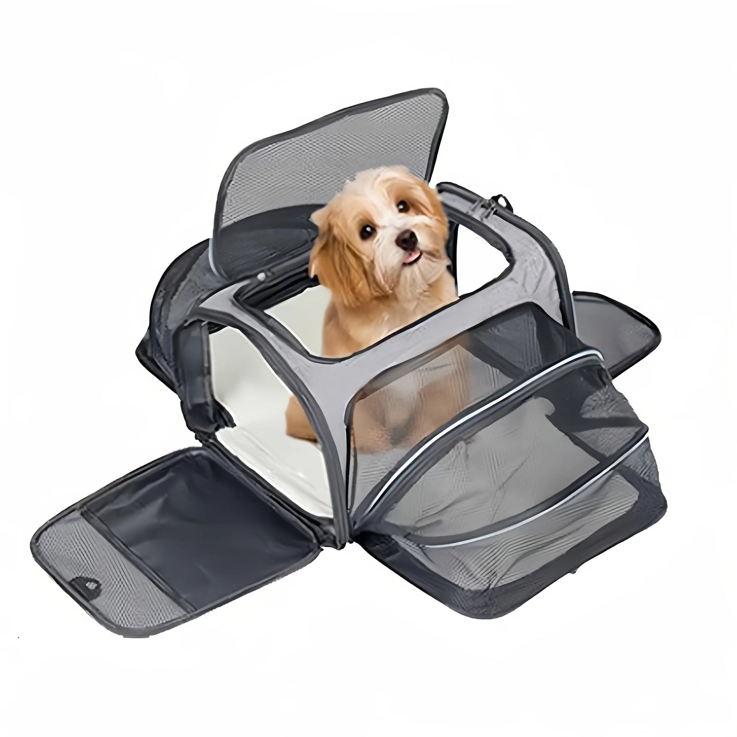 Trasportino, Estendibile, per cani e gatti, traspirante