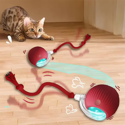 Palla interattiva per gatti, ricaricabile, con diverse modalità di funzione