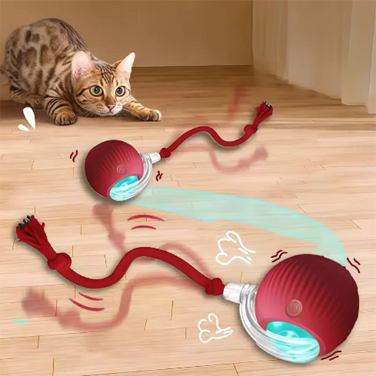 Palla interattiva per gatti, ricaricabile, con diverse modalità di funzione