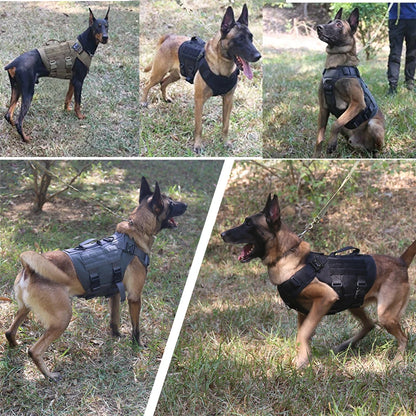 Pettorina tattica stile militare + accessori, utile anche per allenamento del proprio cane