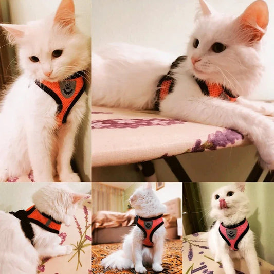 Guinzaglio per cani e gatti, regolabile, in rete di poliestere, traspirante, riflettente