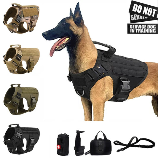 Pettorina tattica stile militare + accessori, utile anche per allenamento del proprio cane